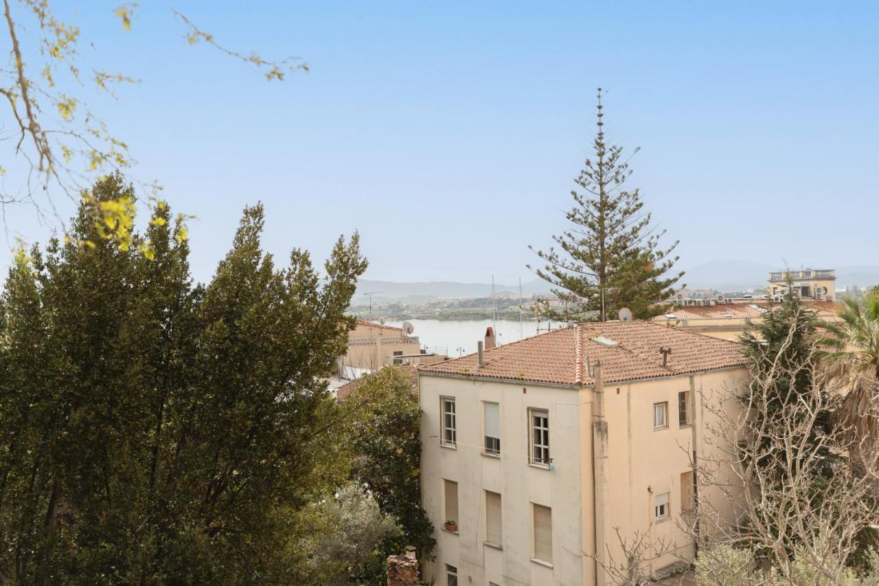 Guest house Molo Brin &